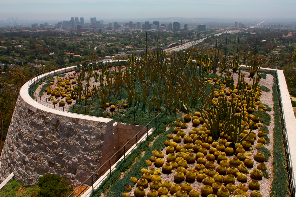 the getty center cactus garden