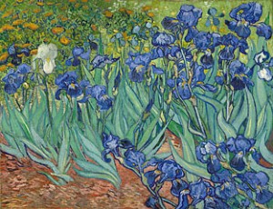 iris van gogh, getty.edu