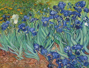 iris van gogh, getty.edu