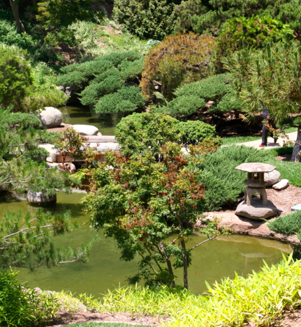 the huntington japanese garden