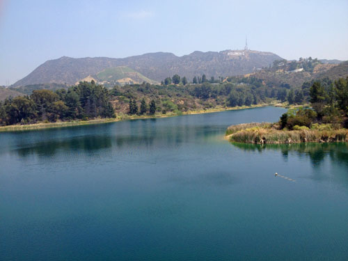 Lake Hollywood