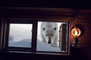 Svalbard, Norway 2008 by Paul Nicklen, National Geogaphic