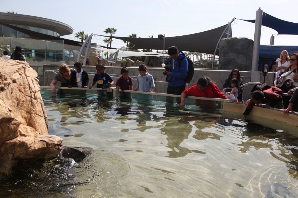 Long Beach Aquarium