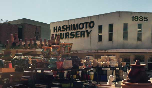 Hashimoto Nursery