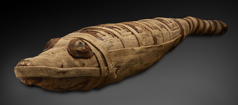 Mummies : Secrets from the Tombs