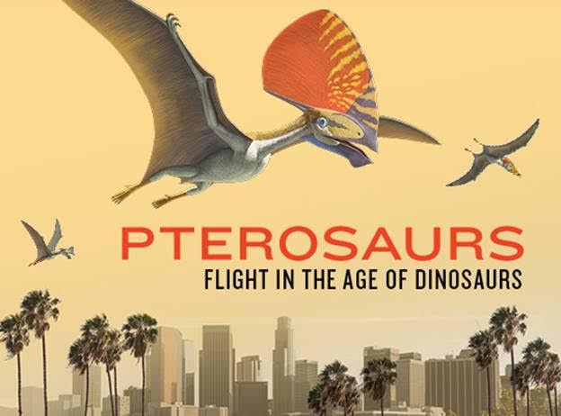 Pterosaurs Flight In The Age of Dinosaurs Exhibit Catalogue